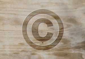 Copyright Law of the People's Republic of China 